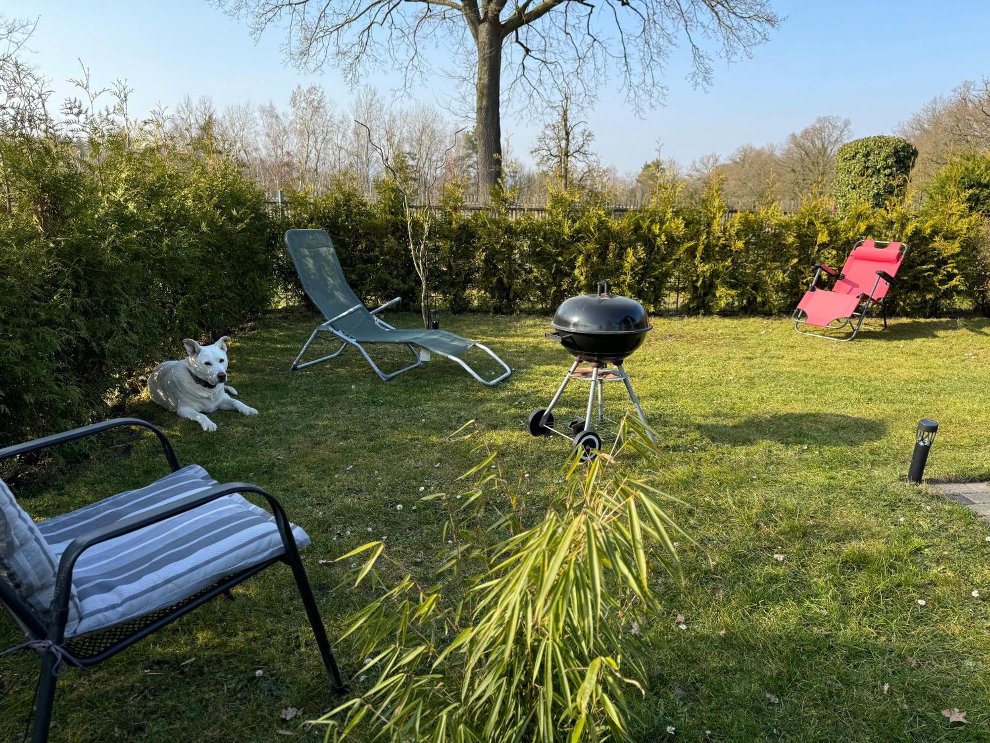 Ferienwohnung Am See Dillich - Ruhige Lage - Eigener Garten - Direkt Neben Einem Natursee Borken  Exterior photo